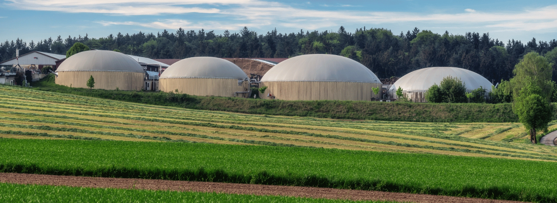 Biogasanlage in landwirtschaftlicher Umgebung